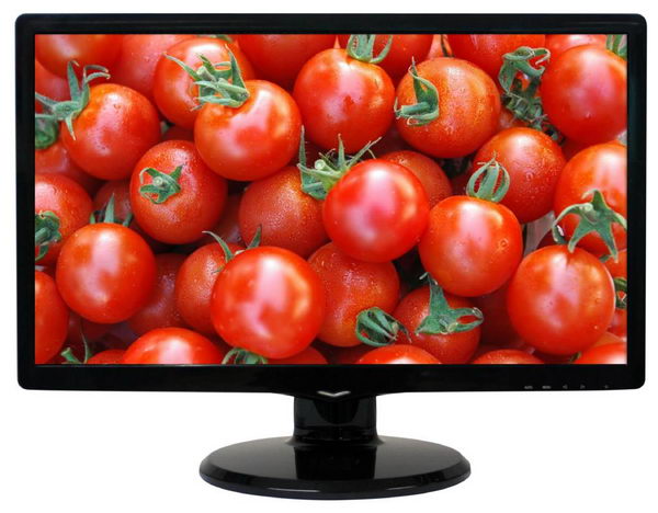 LCD monitor